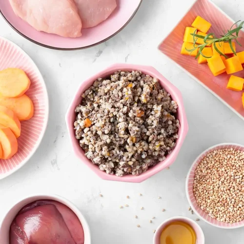 Petchef Unnepi Malac Kutyaeledel 5 3