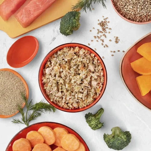 Petchef Atlanti Lazac Kutyaeledel 5.5