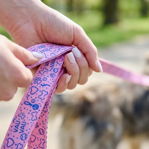 PetChef Collarful Poraz Rozsaszin 3