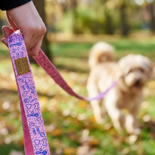 PetChef Collarful Poraz Rozsaszin 5