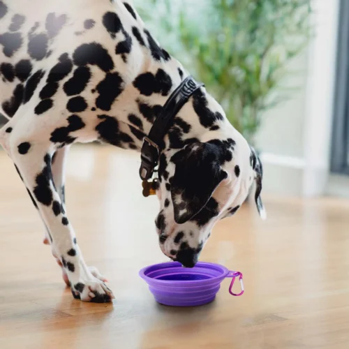 PetChef Szilikon Tal M4