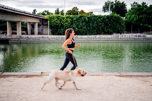 Petchef A Kutyasok Bizonyitottan Egeszsegesebbek A Kutyatlanoknal 2