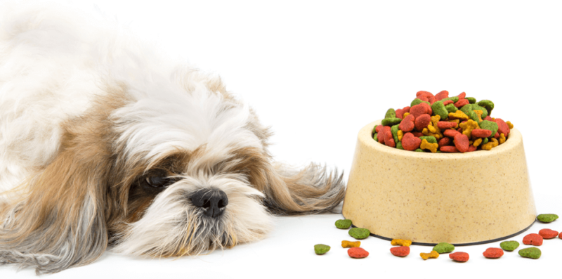 Petchef Hungary Kutya