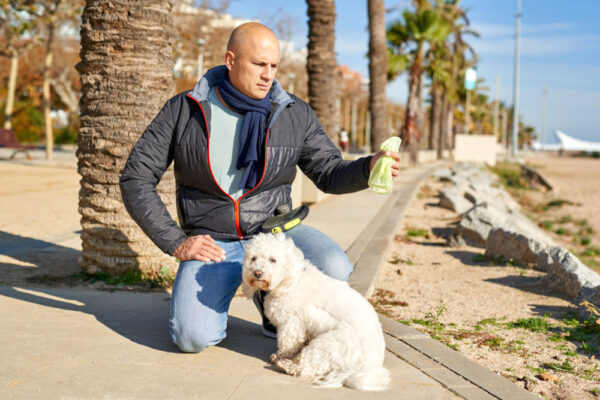 Petchef Kutya Szeklet