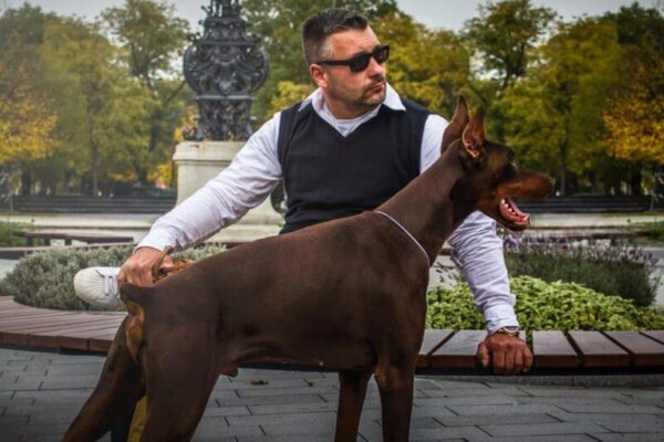 Petchef Nyakas Gabor Kutyaeledel