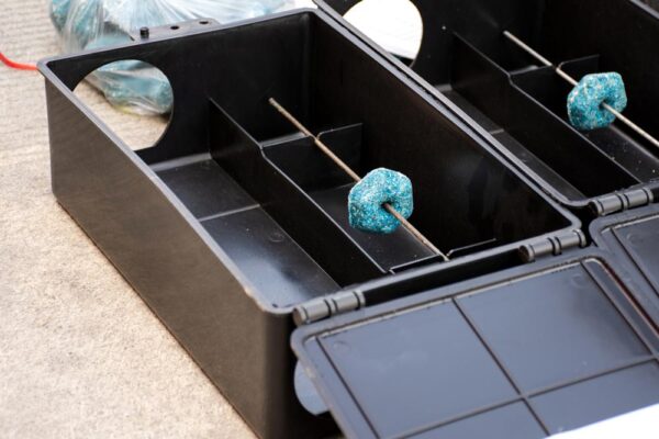 Petchef Patkanymereg