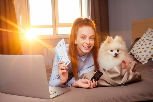 Petchef Repulo Kutya