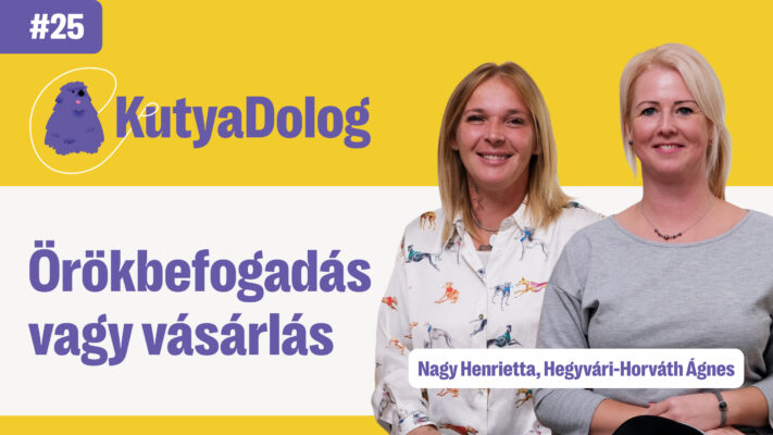 orokbefogadas-vagy-vasarlas