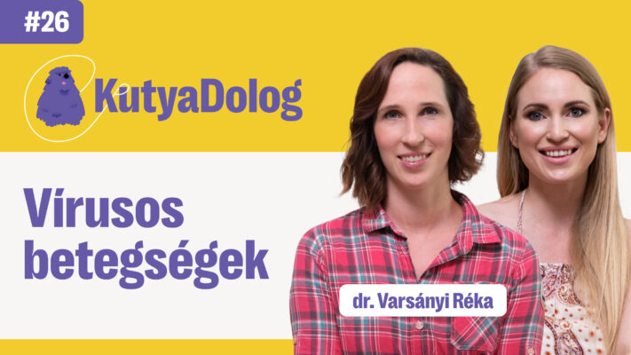 virusos-megbetegedesek