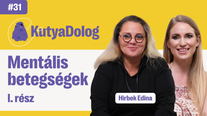 mentalis-betegsegek-1