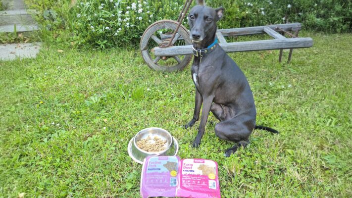 lausmauasz-sikersztori