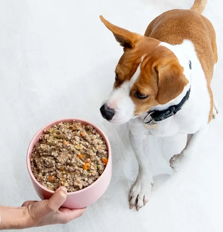 PetChef Fott Kutya Eledelek M6