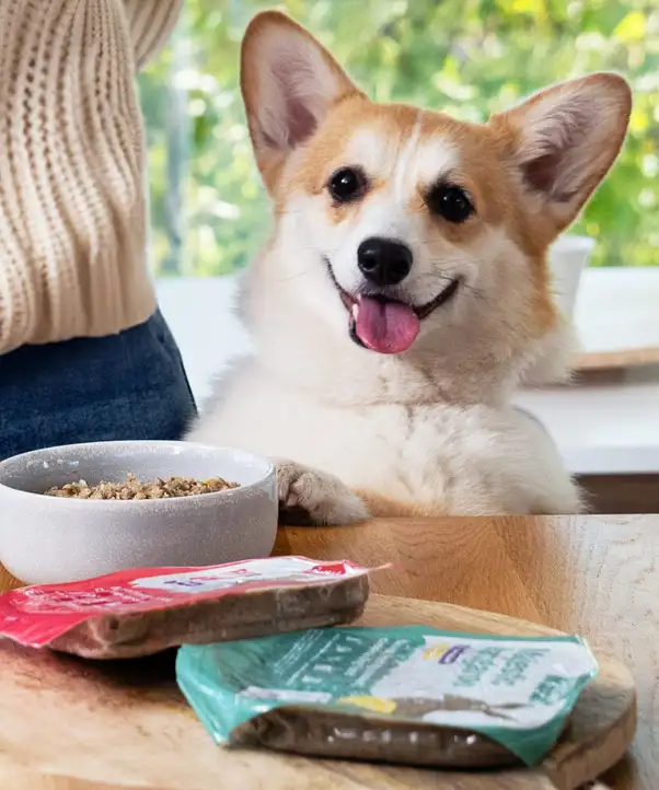 PetChef Kutyaeledel M 5