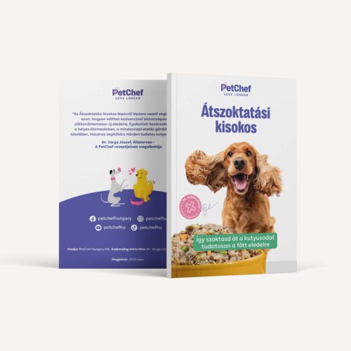 Atszoktatasi Kisokos