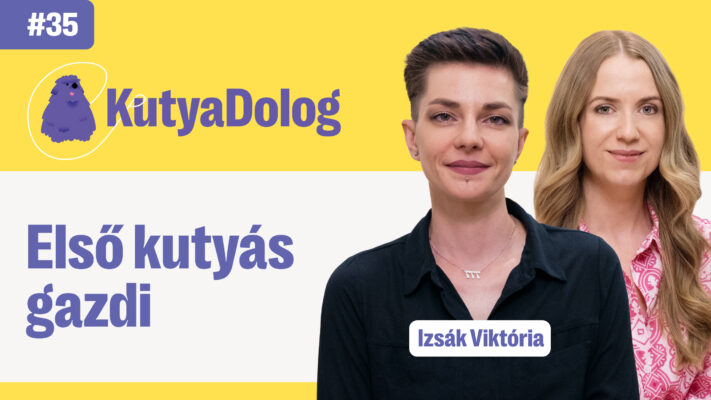 Kutyafajták-kezdőknek