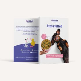 Etess Fottel