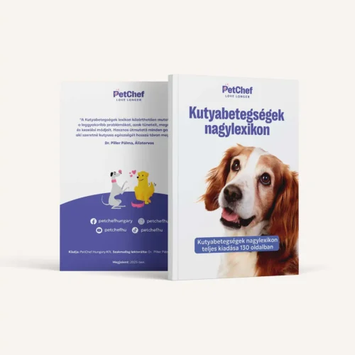 Kutyabetegseeg Nagylexikon Vegleges