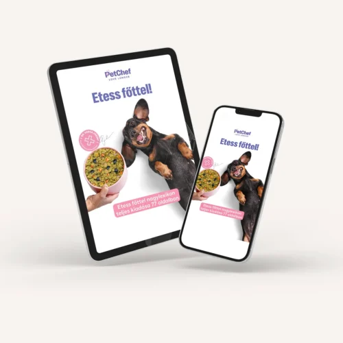 PetChef Etess Fottel Nagylexikon 2