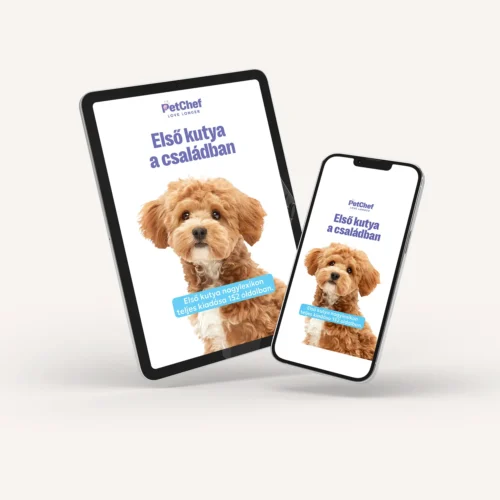 Elso Kutyak Nagylexikon 2