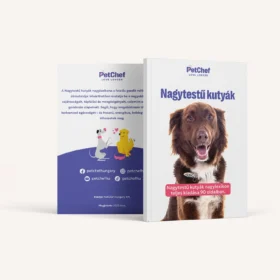 Nagytestu Kutyak Nagylexikon 1