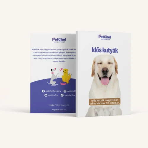 Idos Kutyak Nagylexikon 1