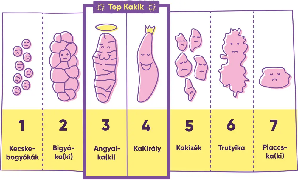 Kép 6 Kutya kaki útmutató