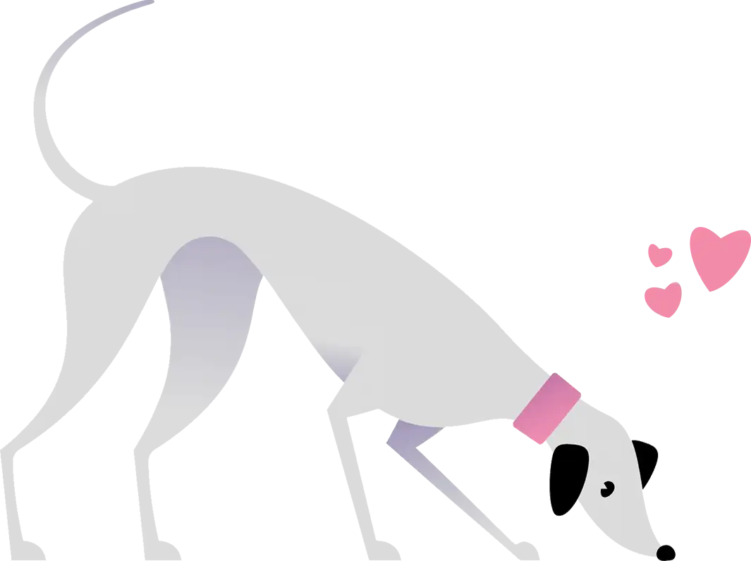 Grey Dog 5