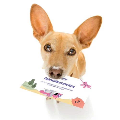 Petchef Ajandekutalvany 4