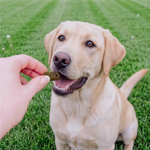 Petchef Joint Vegan Snack 4