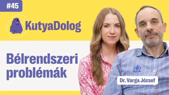 eledel-belmegbetegedesek