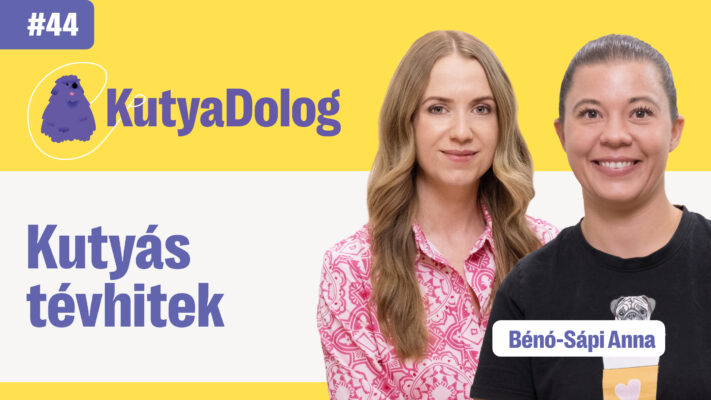 kutyas-tevhitek