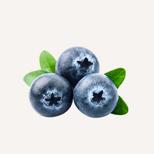 Blueberry 2