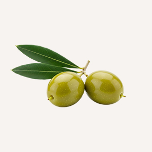 Oliva