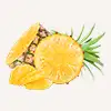 Petchef Digestion Ananasz