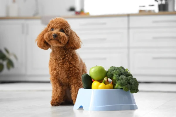 A Veggie mix kiváló rostforrás