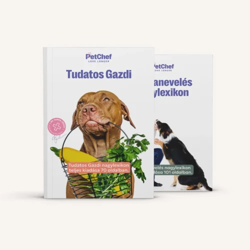 PetChef Neveles Es Mindennapok V2