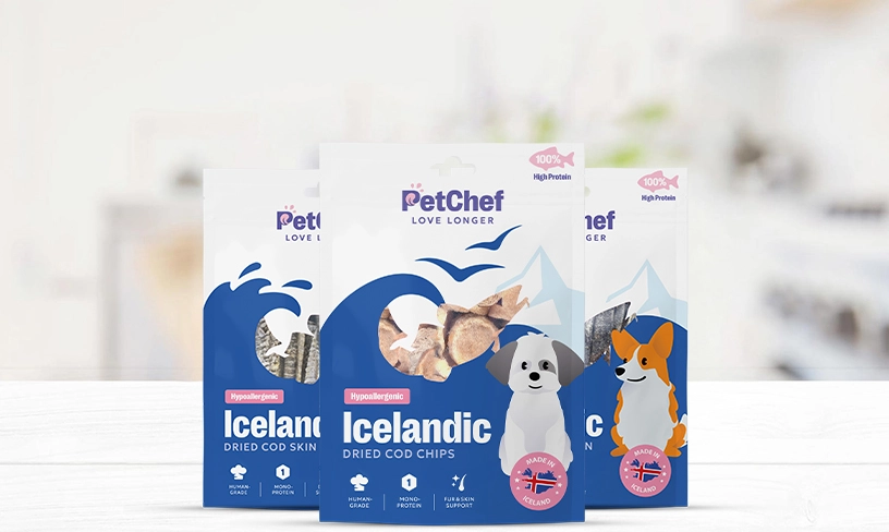 PetChef Ragokak V2