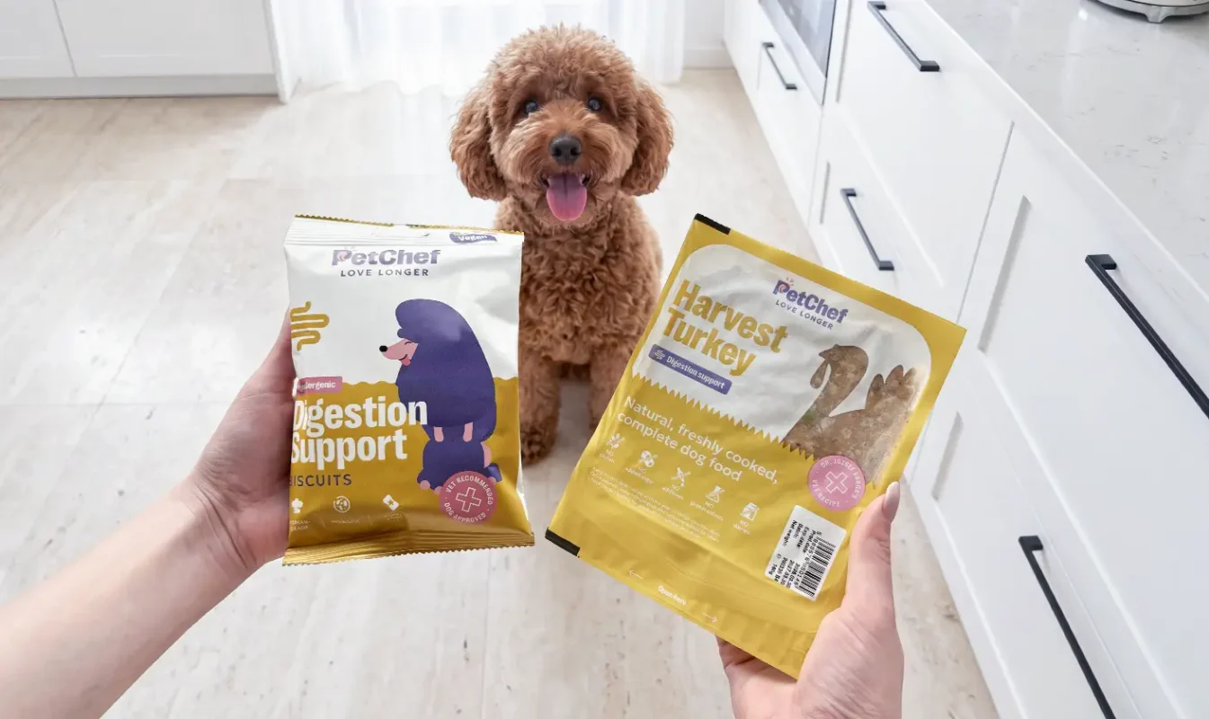PetChef Szureti Pulyka Ajanlo Blokk 2