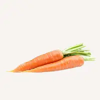 Petchef Veggie Mix Sargarepa