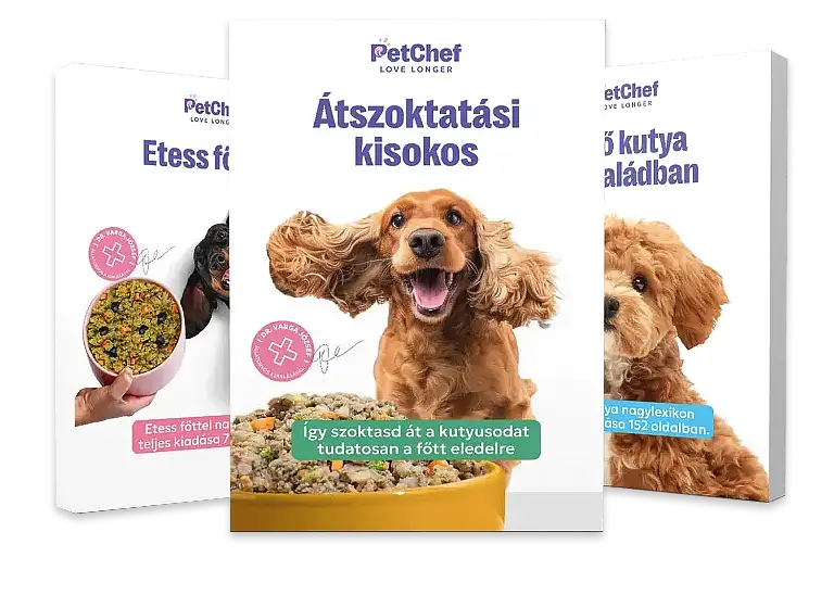 Petchef Tudastar Pw 2